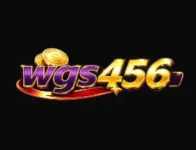 WGS456 Game