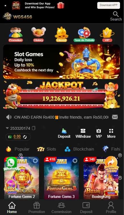 WGS456 Game