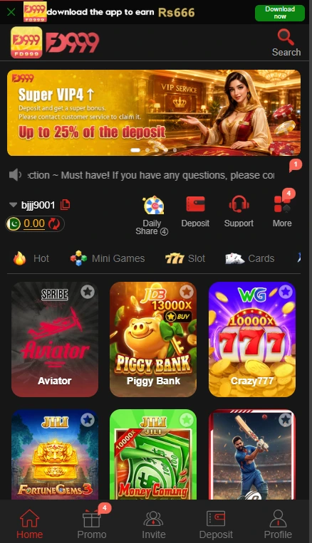 FD999 Game